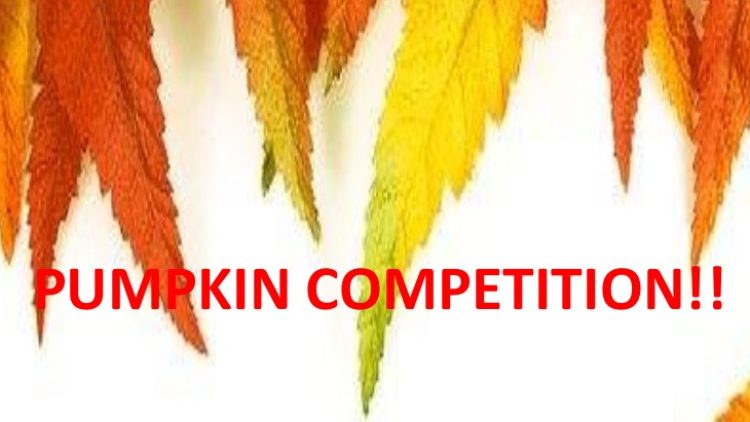 Pumpkin competition!!