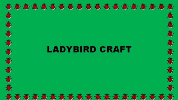 MAKE A LADYBIRD CRAFT